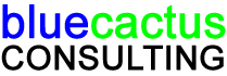 Blue Cactus Consulting Logo