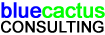 Blue Cactus Consulting Logo